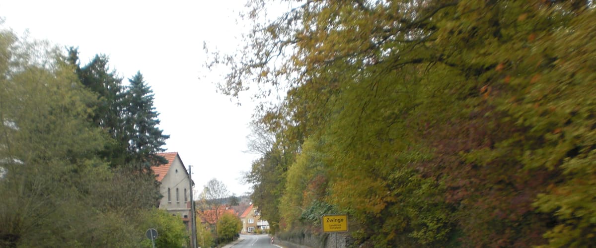 A rural road flanked by trees and houses.