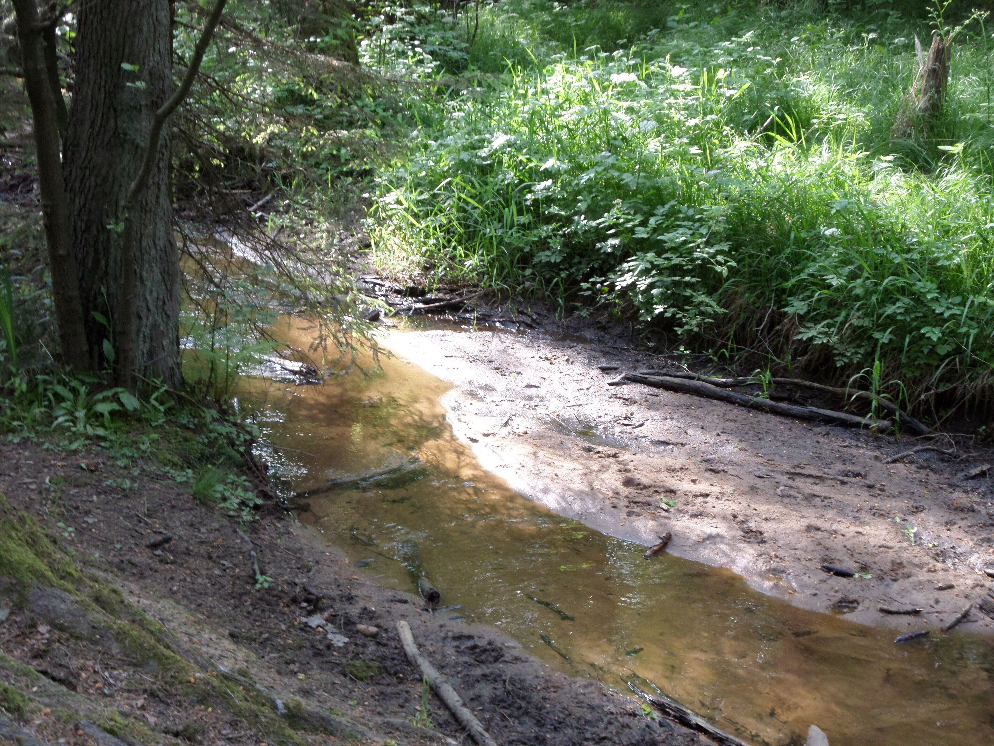 Schneidersbach Laufamholzer Forst Gewässerkennzahl DE: 242292 Quelle westlich der Nürnberger Exklave Brunn im Staatsforst Brunn 49° 26′ 37″ N, 11° 13′ 12″ O Quellhöhe 361 m Mündung in Nürnberg-Erlenstegen im östlichen Teil des Distrikts Wasserwerk in die Pegnitz 49° 28′ 21″ N, 11° 10′ 46″ O Mündungshöhe 306 m