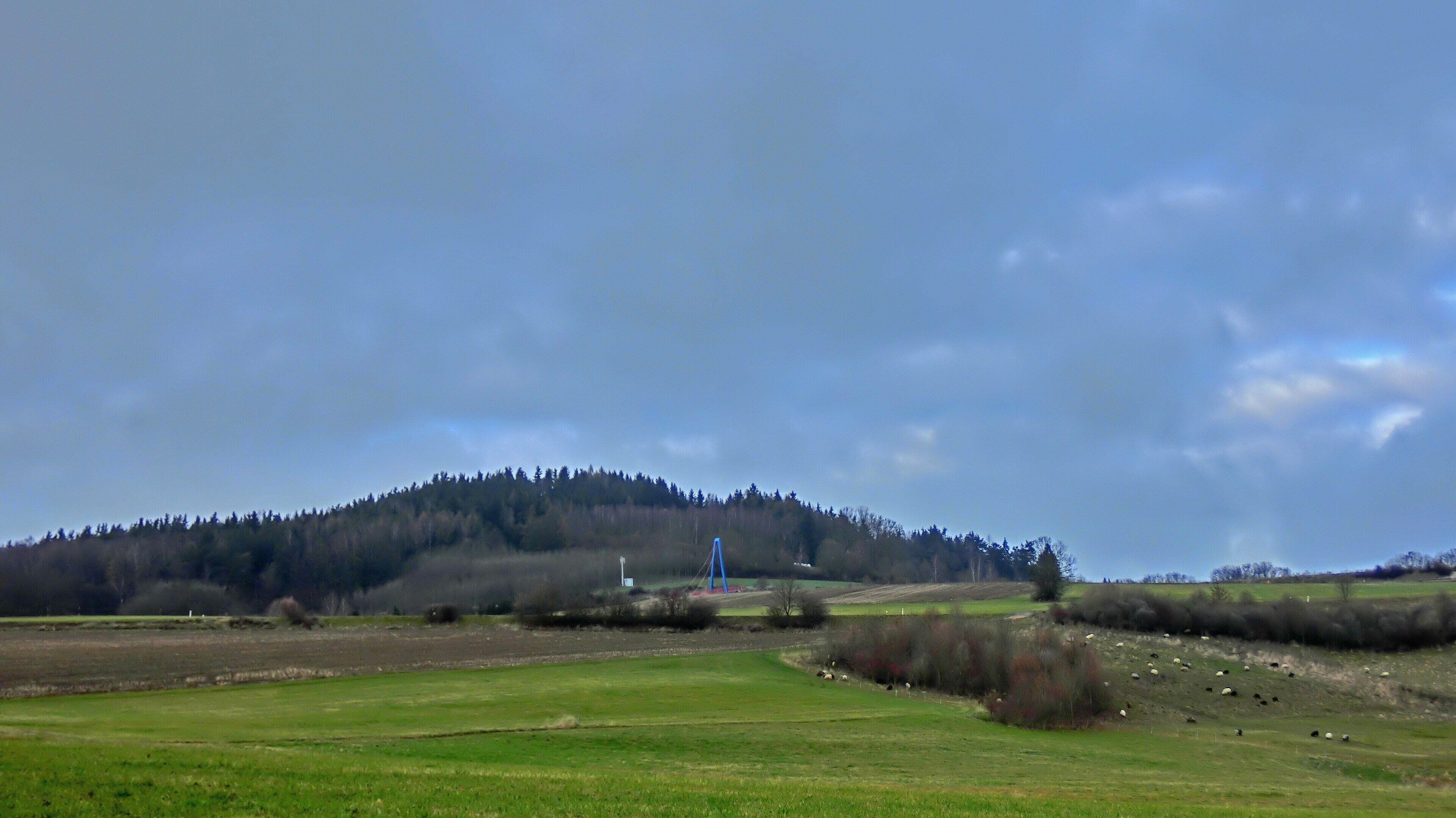 A rural landscape with a hill, grazing sheep, and a blue structure on the hill.
