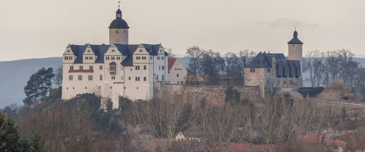 A castle with multiple towers and a large building with a red roof, surrounded by trees and hills.