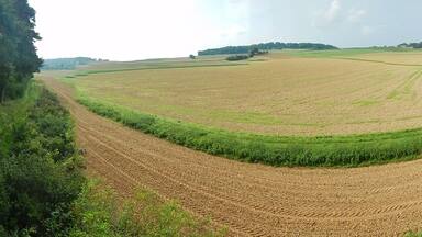 Felder in der Nรคhe vom Venusberg