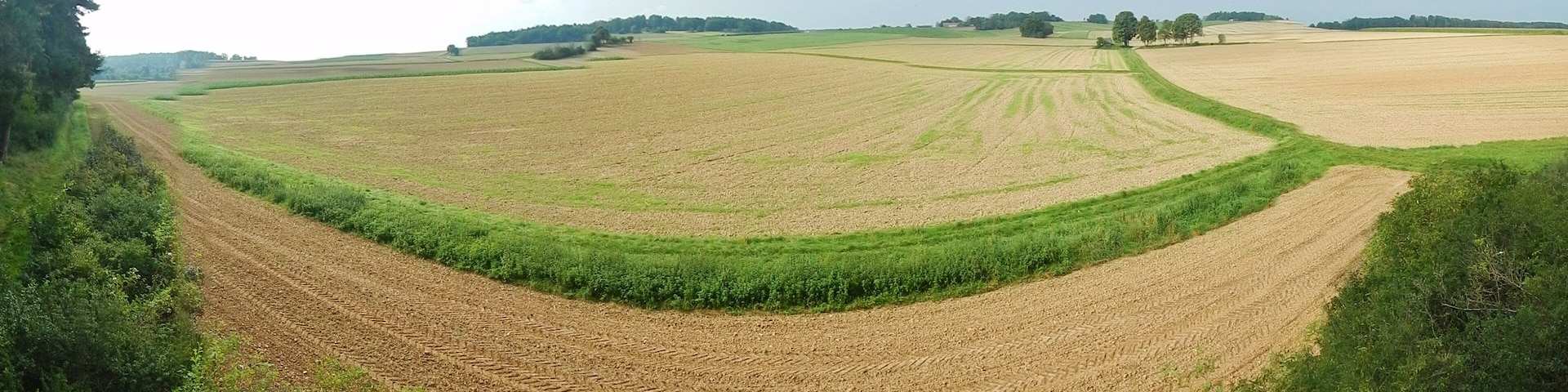 Felder in der Nähe vom Venusberg