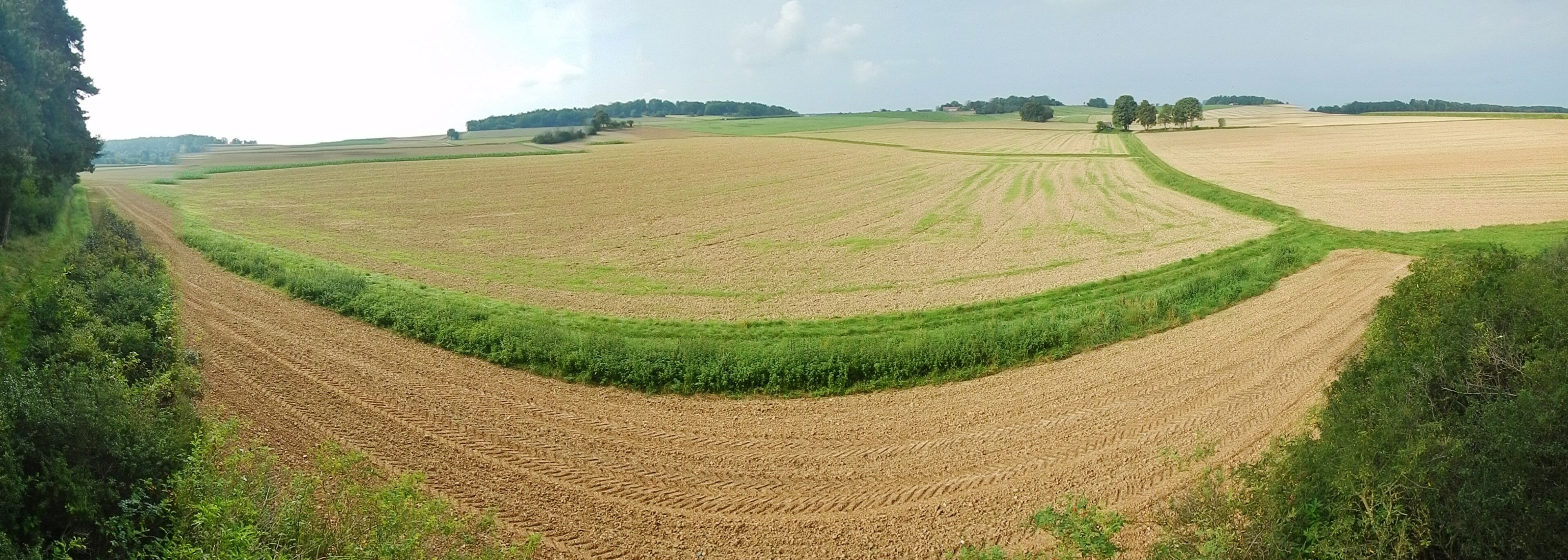 A vast agricultural landscape with terraced fields and a winding dirt path.