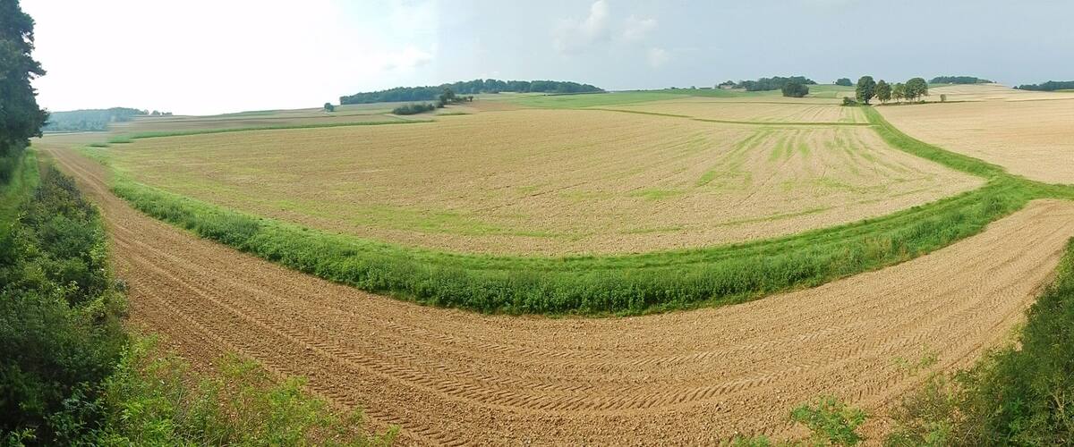 A vast agricultural landscape with terraced fields and a winding dirt path.