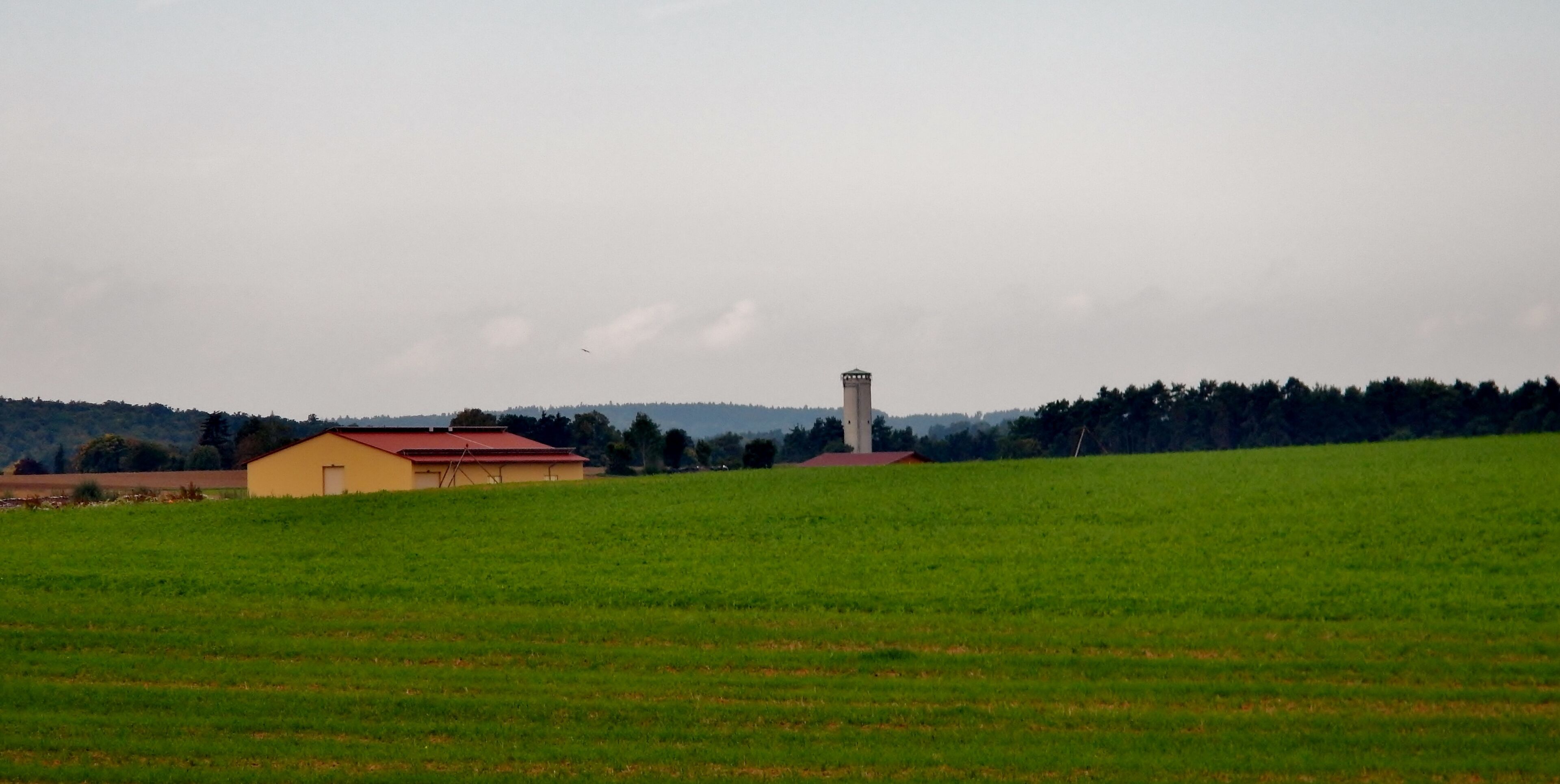 Blick bis zum Wasserturm des Kapellenbergs, Grafenau