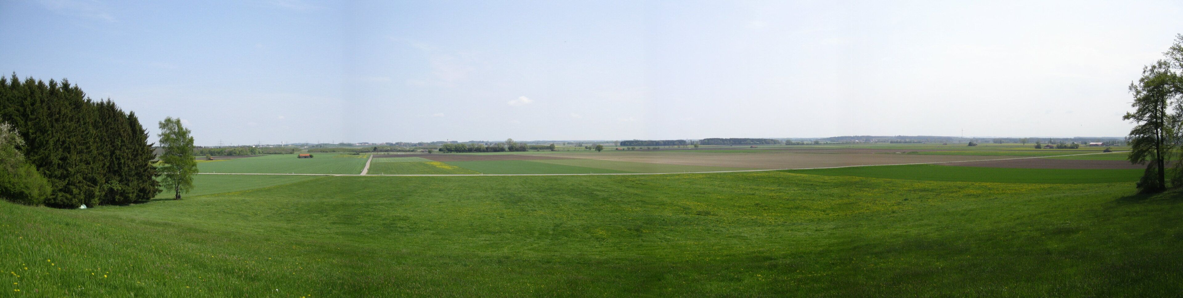 A vast green field with a dirt path, surrounded by trees and fields.