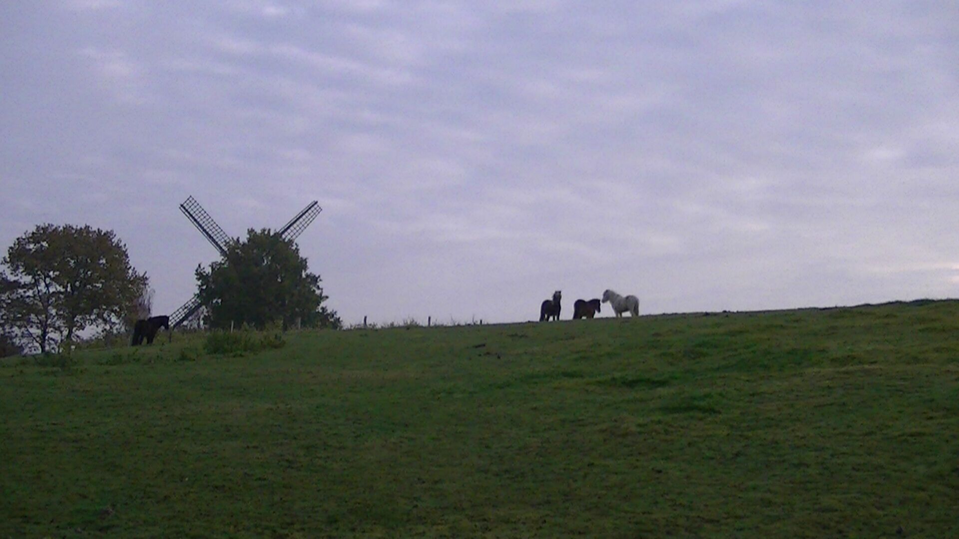 A windmill, horses, and a tree on a grassy hill.