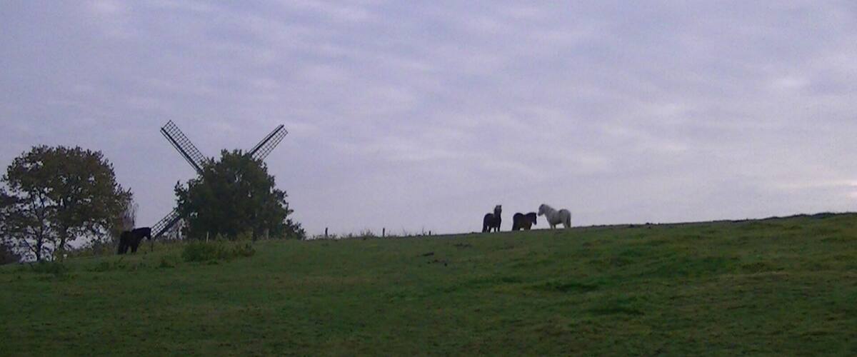 A windmill, horses, and a tree on a grassy hill.