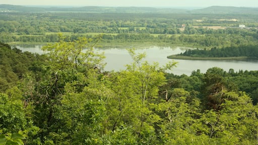 Aussichtspunkt Pimpinellenberg