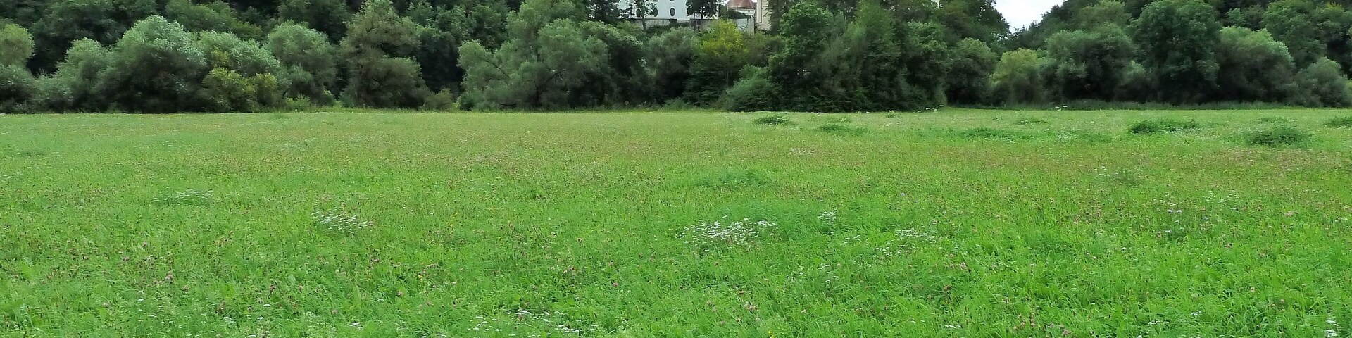 (LSG:BW-4.25.129)_Obermarchtal. Klosterkirche Obermarchtal