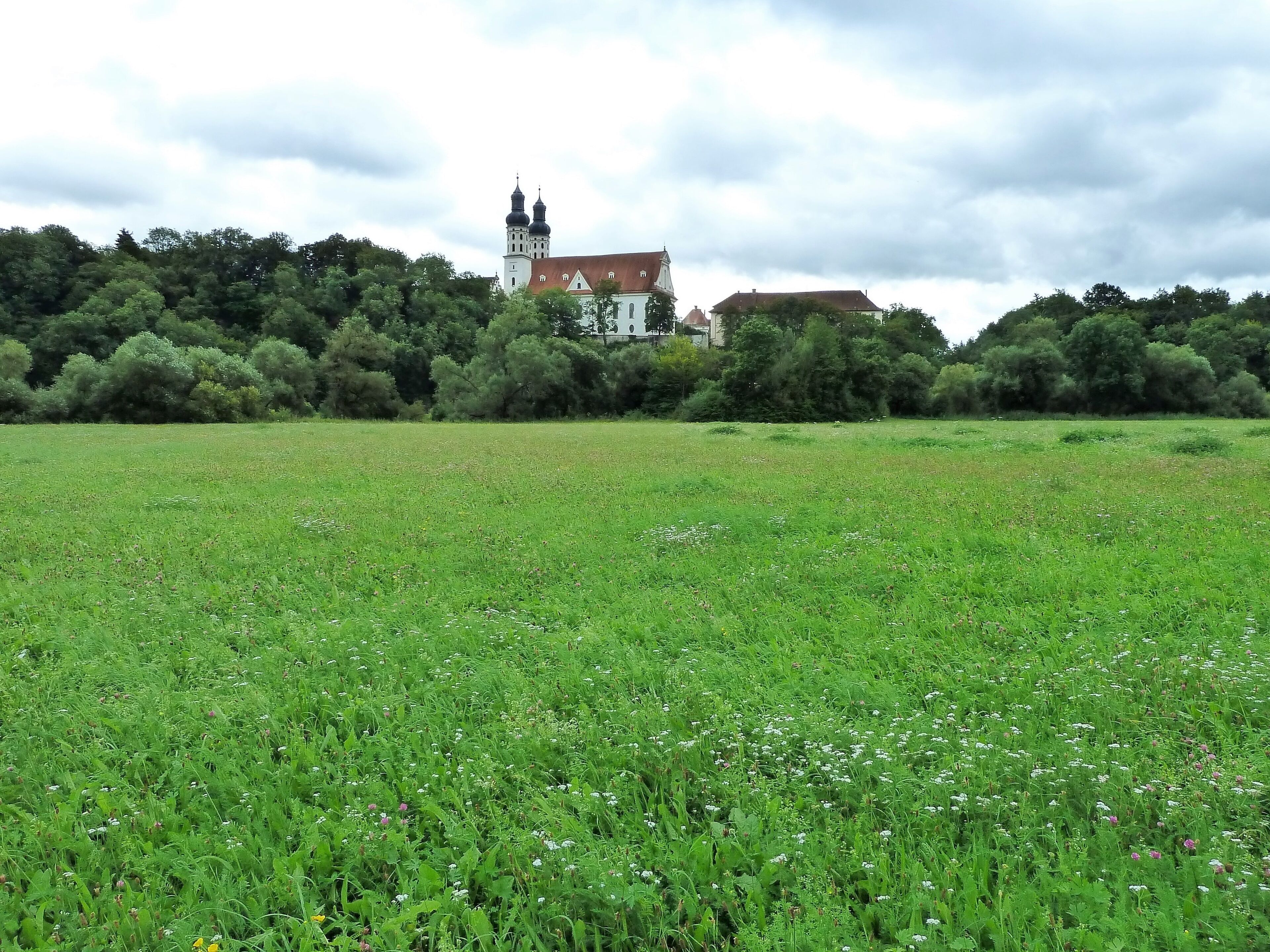 A lush green field with a church and forest in the background.