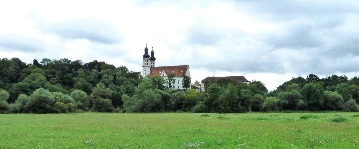 A lush green field with a church and forest in the background.