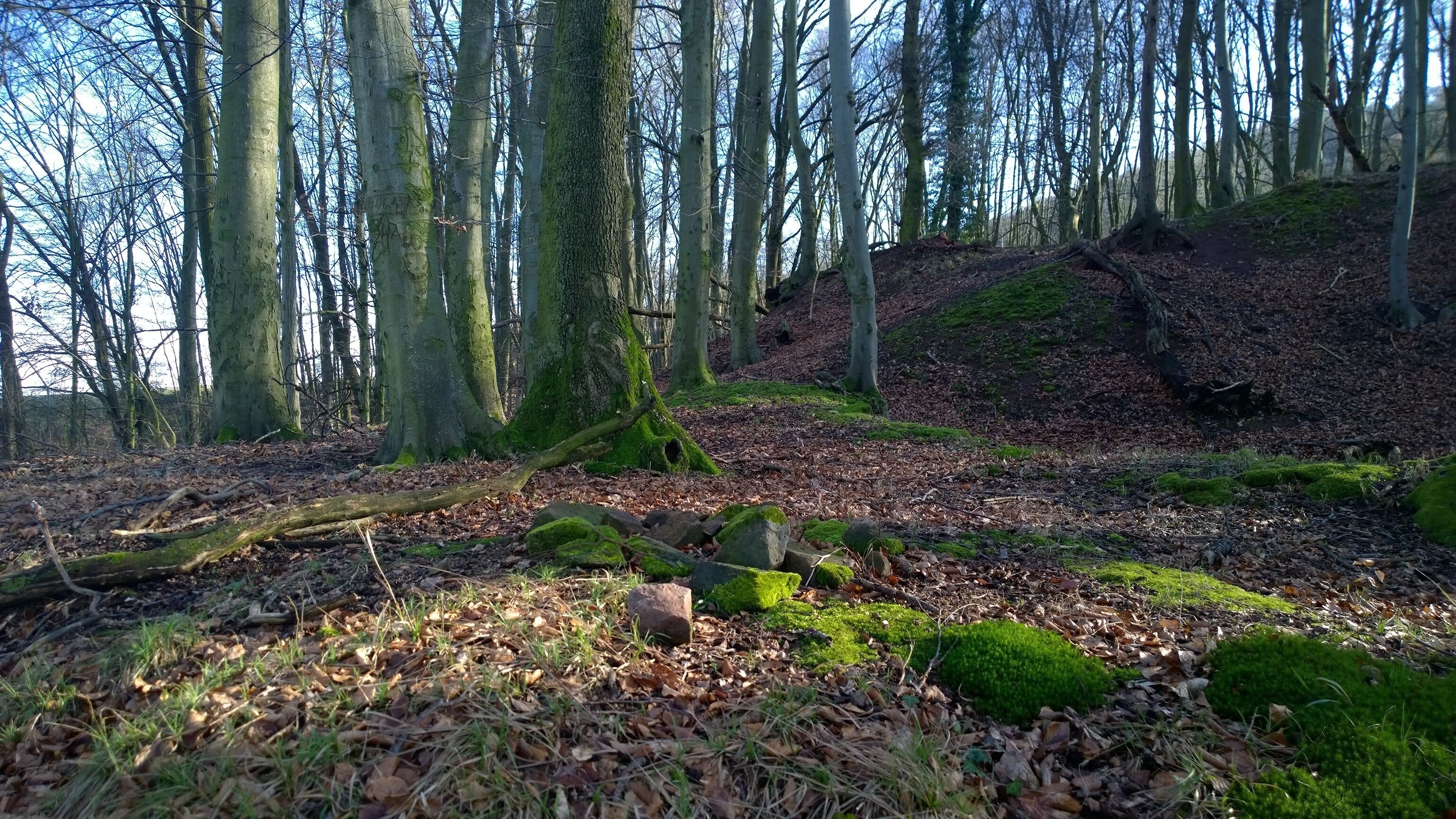 Burgstall Wahlmich Waldaschaff am Spessartrand; Blick von der Vorburg auf den Turmhügel