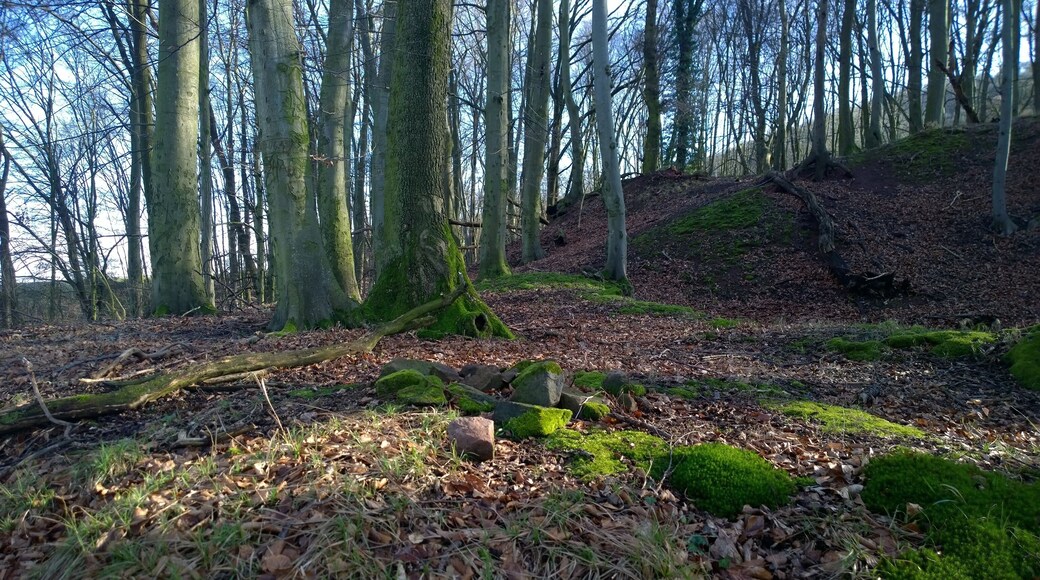 Burgstall Wahlmich Waldaschaff am Spessartrand; Blick von der Vorburg auf den TurmhĂŒgel