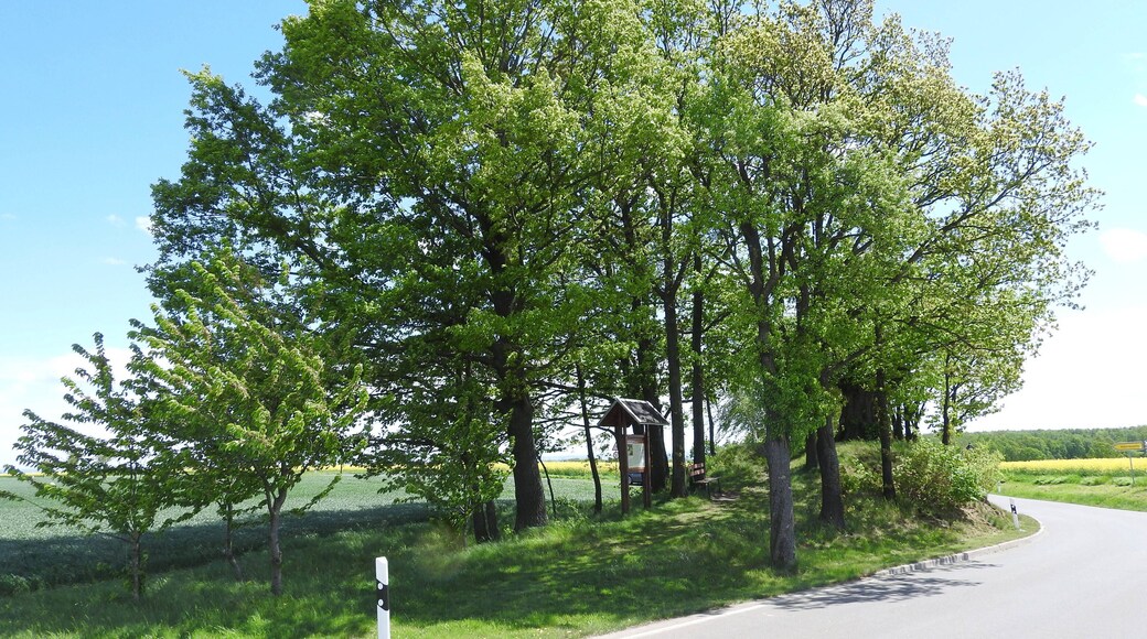 Höckhübel bei Kleintauscha in Thüringen