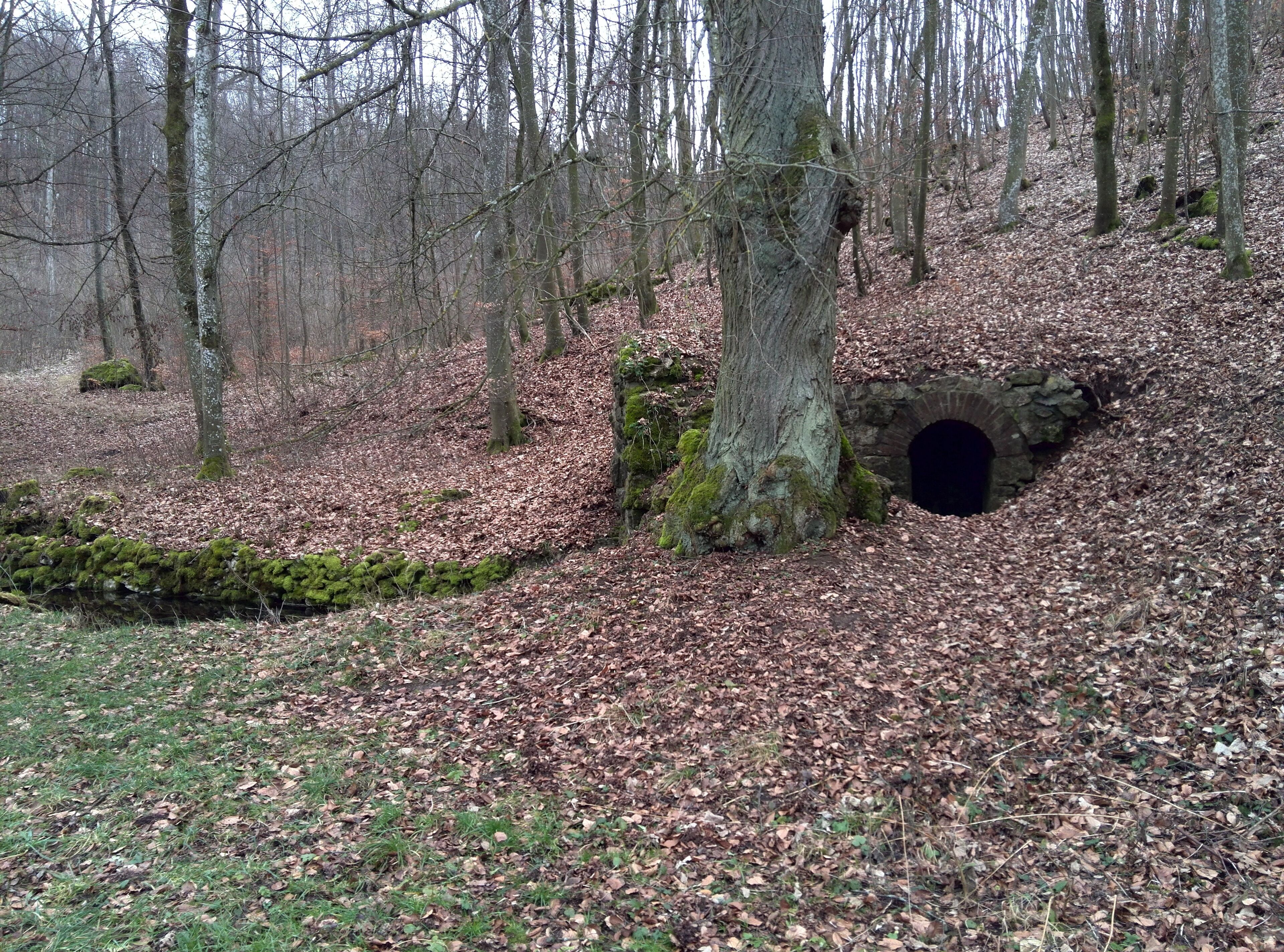 A forest with a stone bridge and a tunnel entrance.