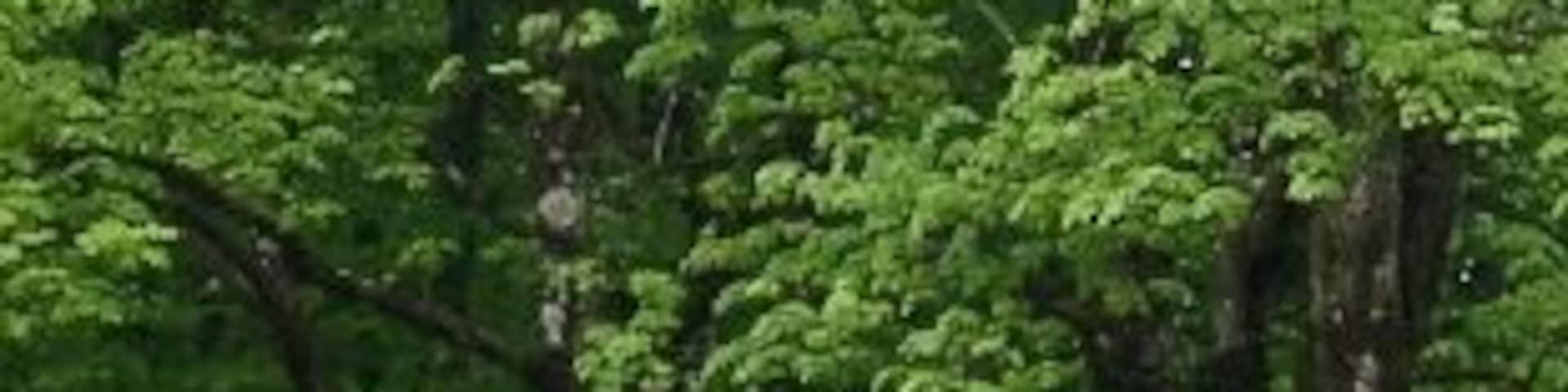 Hubertuskapelle inmitten des Ebersberger Forstes