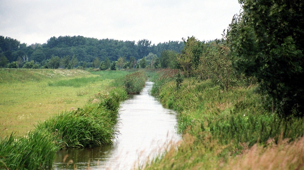 Grafhorst, the Aller