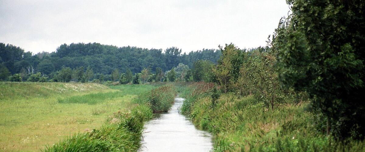 A narrow waterway flanked by lush greenery and trees.