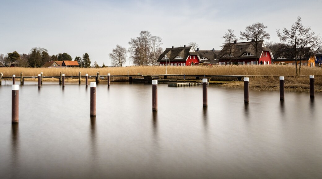 Boat dock, port of Prerow, Fischland-Zingst, Western Pomerania Lagoon Area National Park, Mecklenburg-Western Pomerania, Germany, Europe
