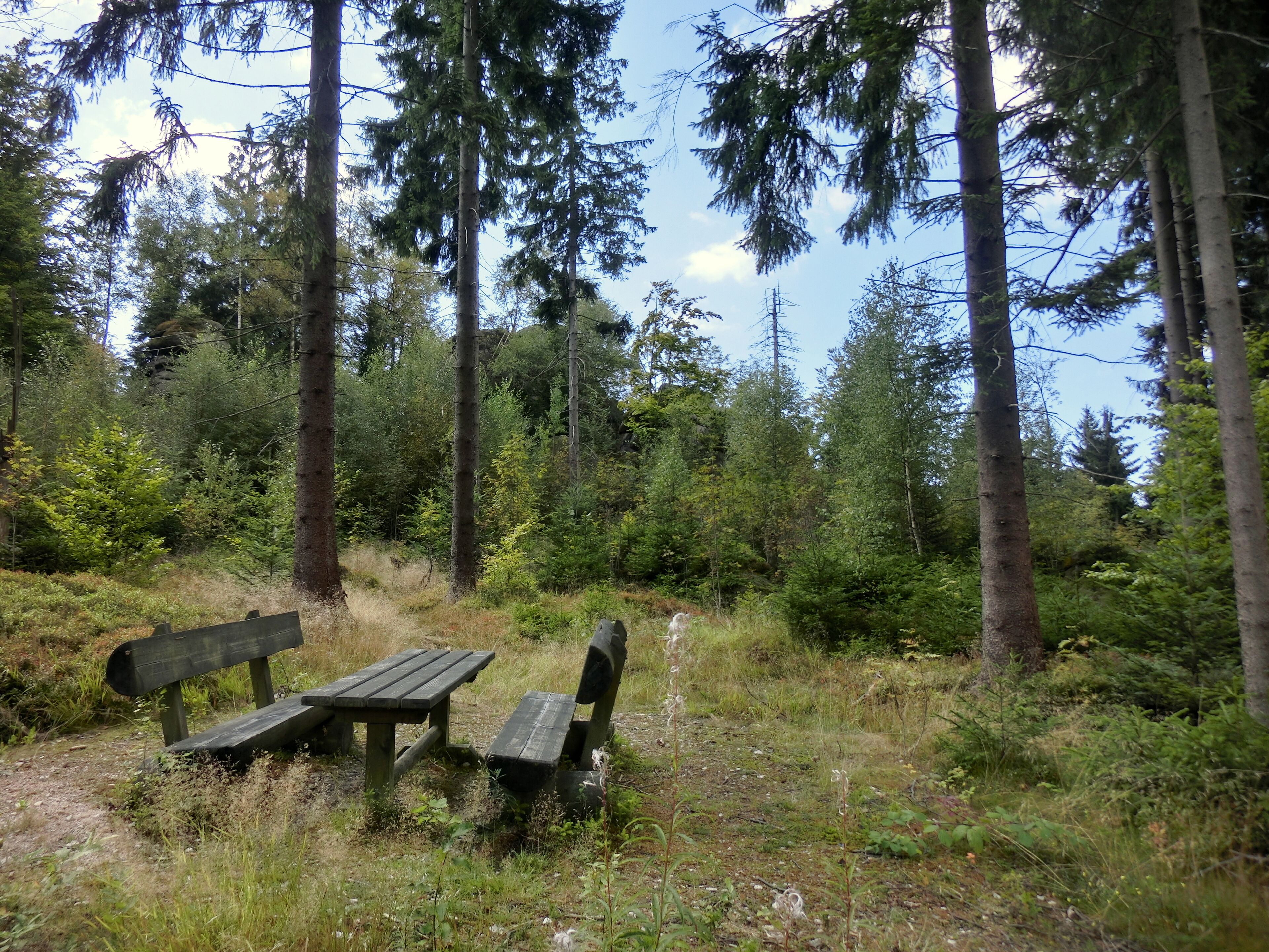 Rastplatz am Prinzenfelsen