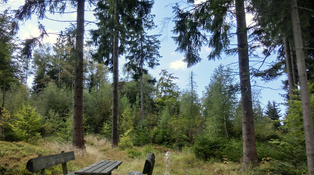 Rastplatz am Prinzenfelsen