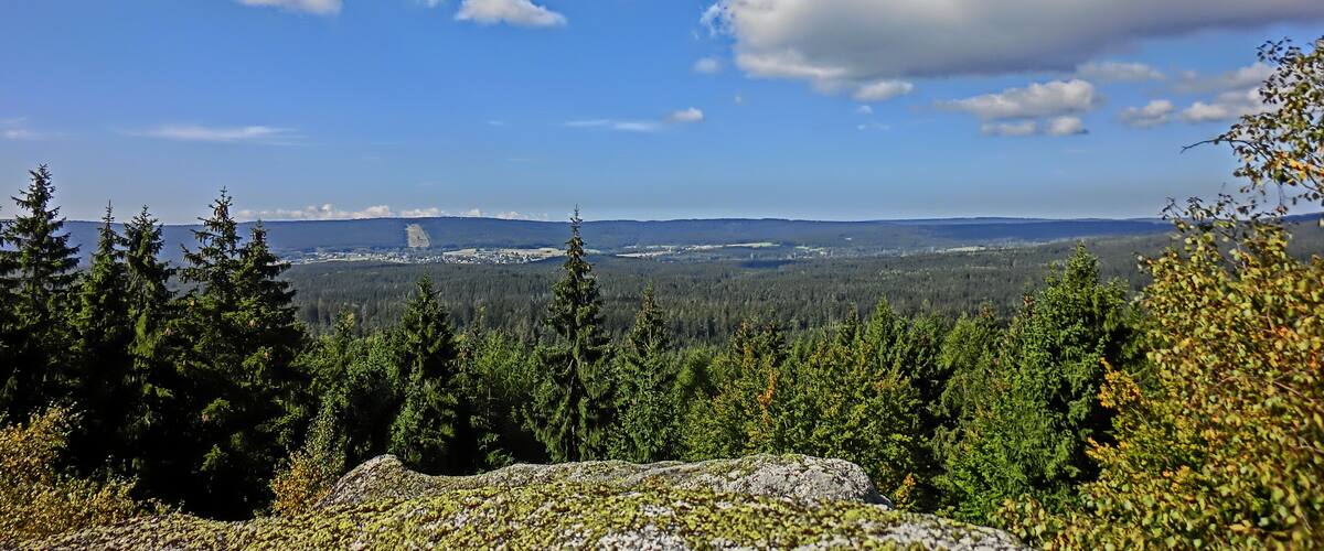 A mountainous landscape with dense forests, a clear blue sky, and distant hills.