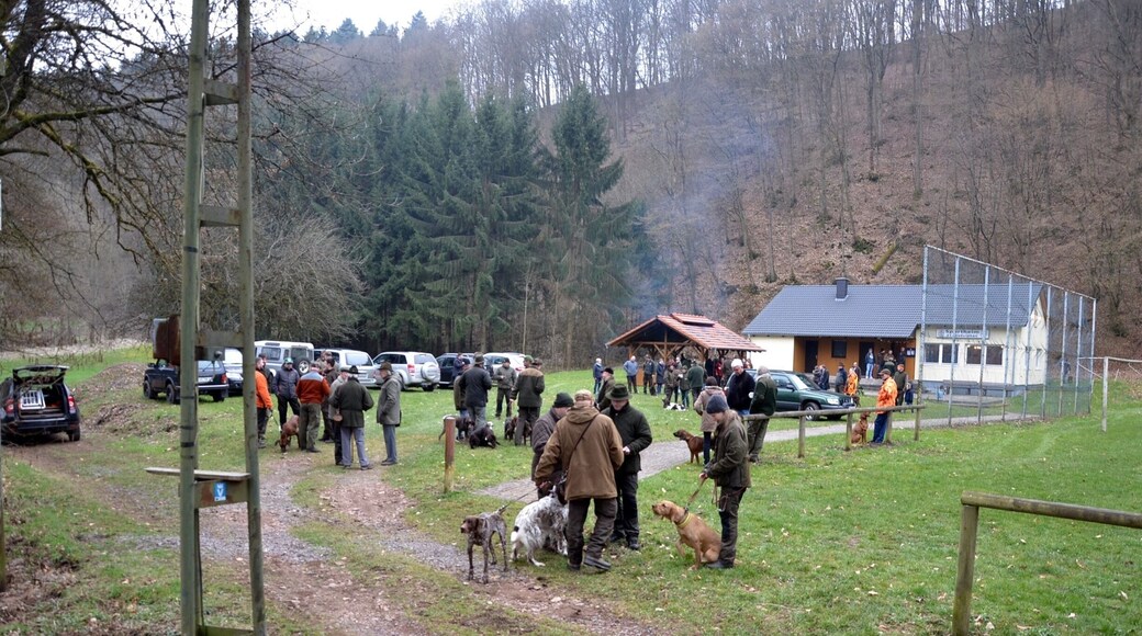 Training for young hunting dogs on a cold spring morning in a remote village in Germany
