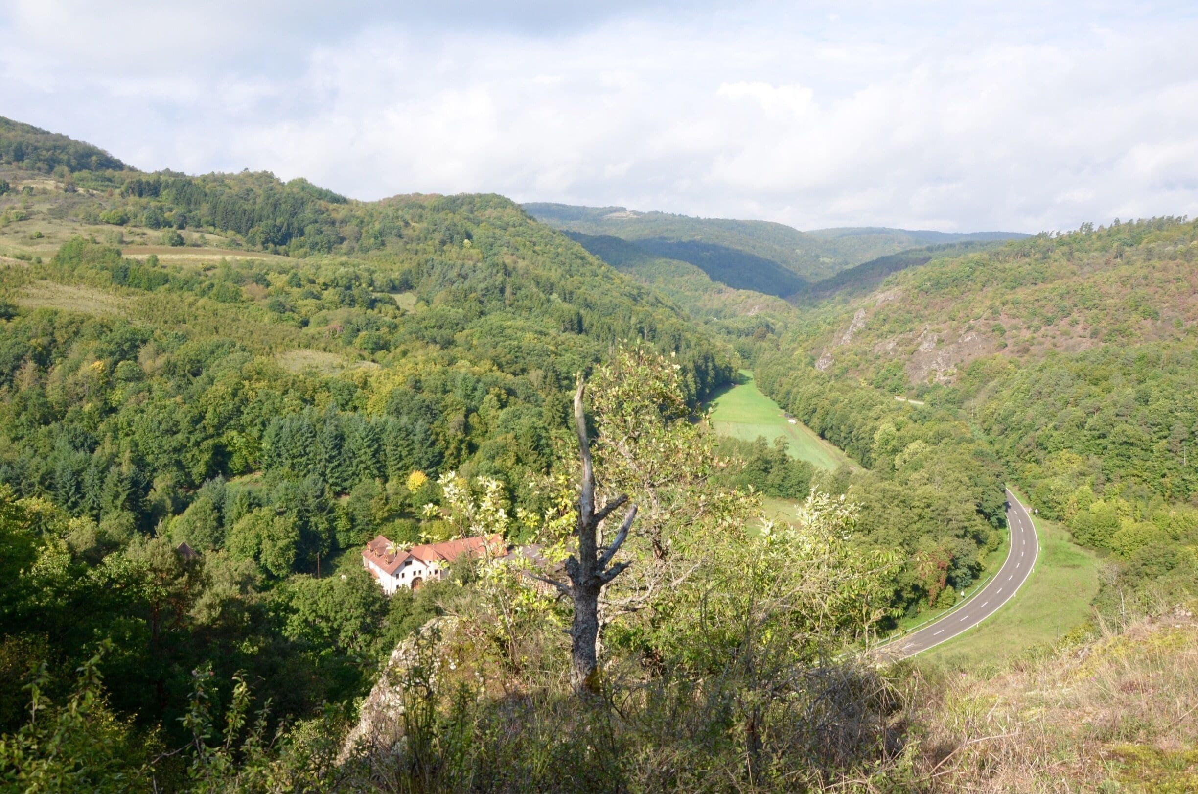 A winding road through a valley surrounded by dense forests and hills.