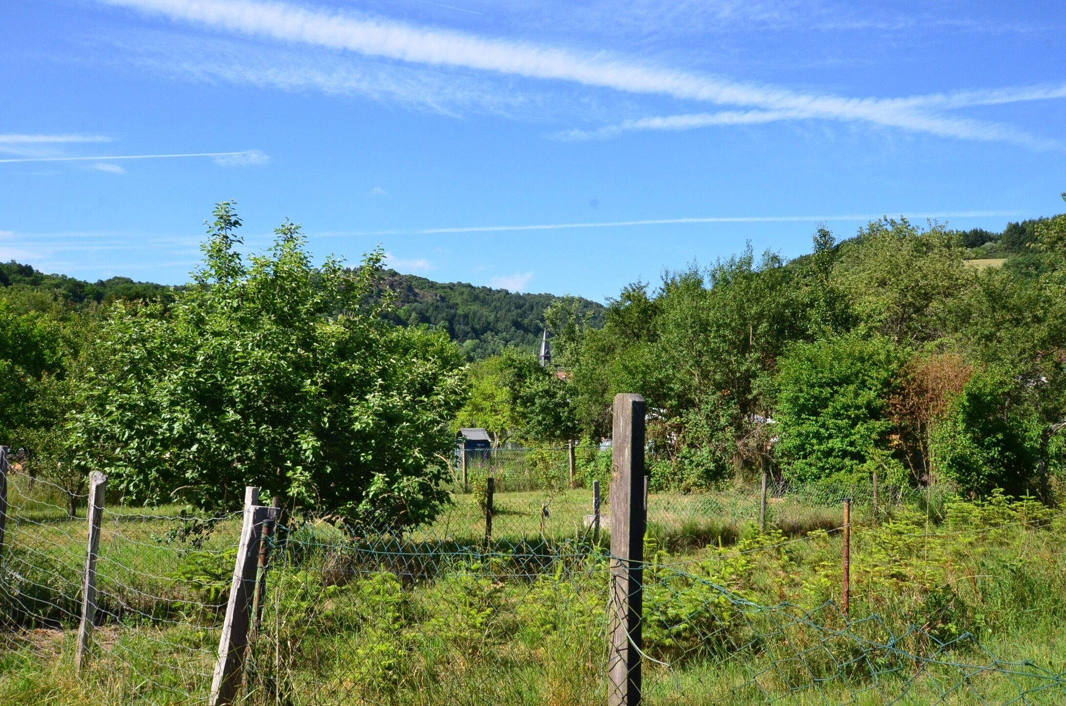 Gardens surround the village