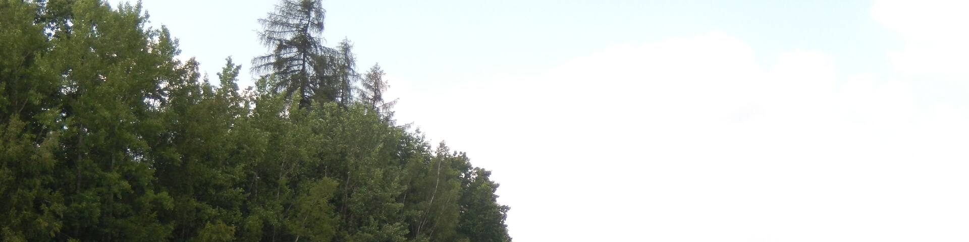 Klingenberg: Talsperren-Rundweg LSG Tal der Wilden Weißeritz, CDDA-Code 324988