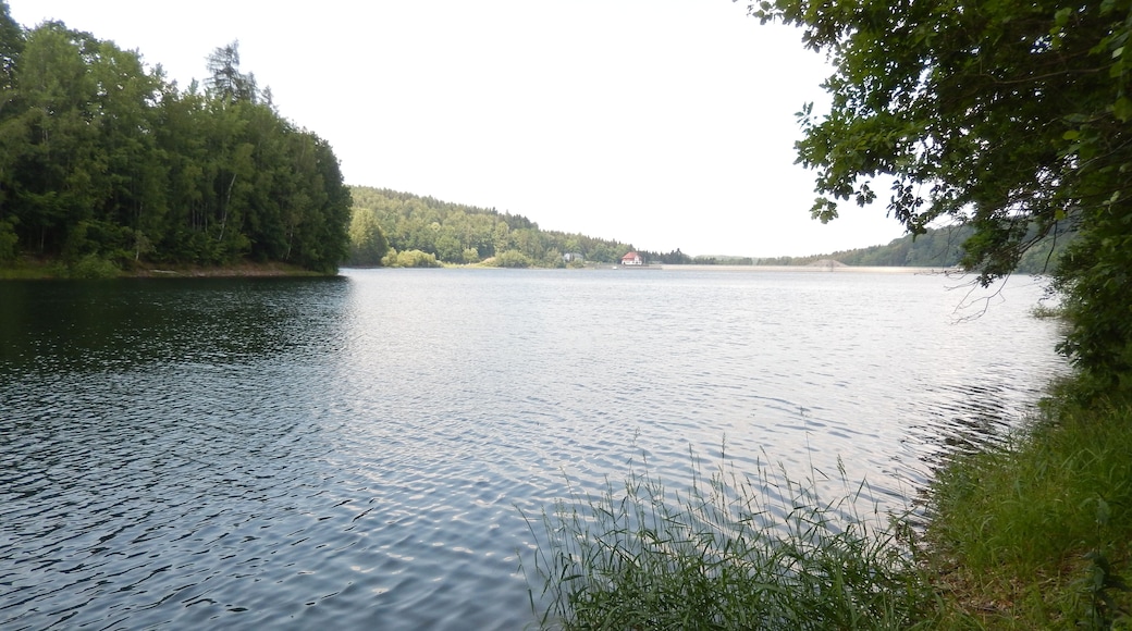 Klingenberg: Talsperren-Rundweg LSG Tal der Wilden Weißeritz, CDDA-Code 324988