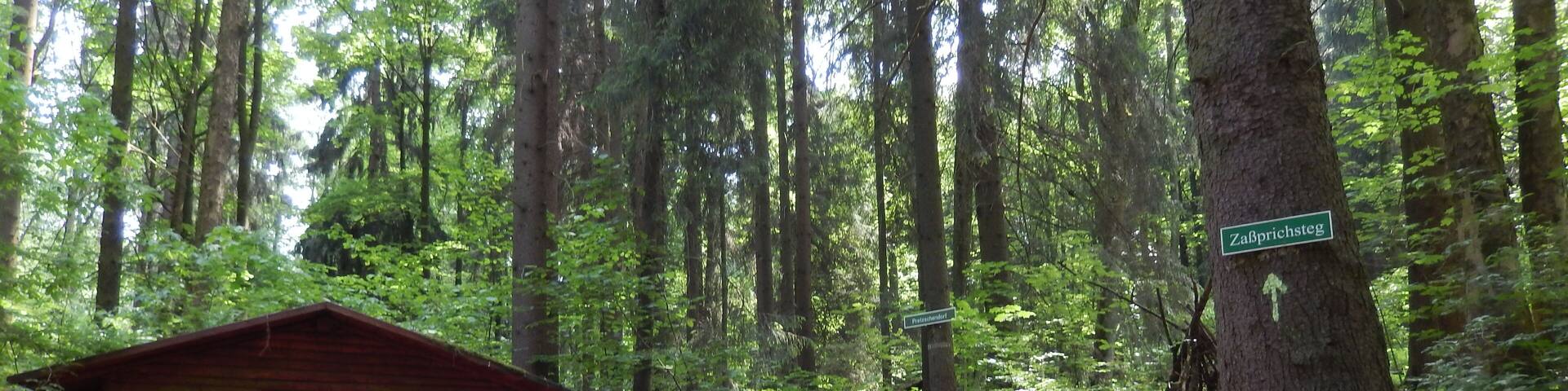 Klingenberg: HolzmĂŒhlenweg, Zasprich LSG Tal der Wilden WeiĂeritz, CDDA-Code 324988