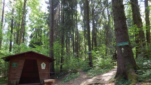 Klingenberg: Holzmühlenweg, Zasprich LSG Tal der Wilden Weißeritz, CDDA-Code 324988