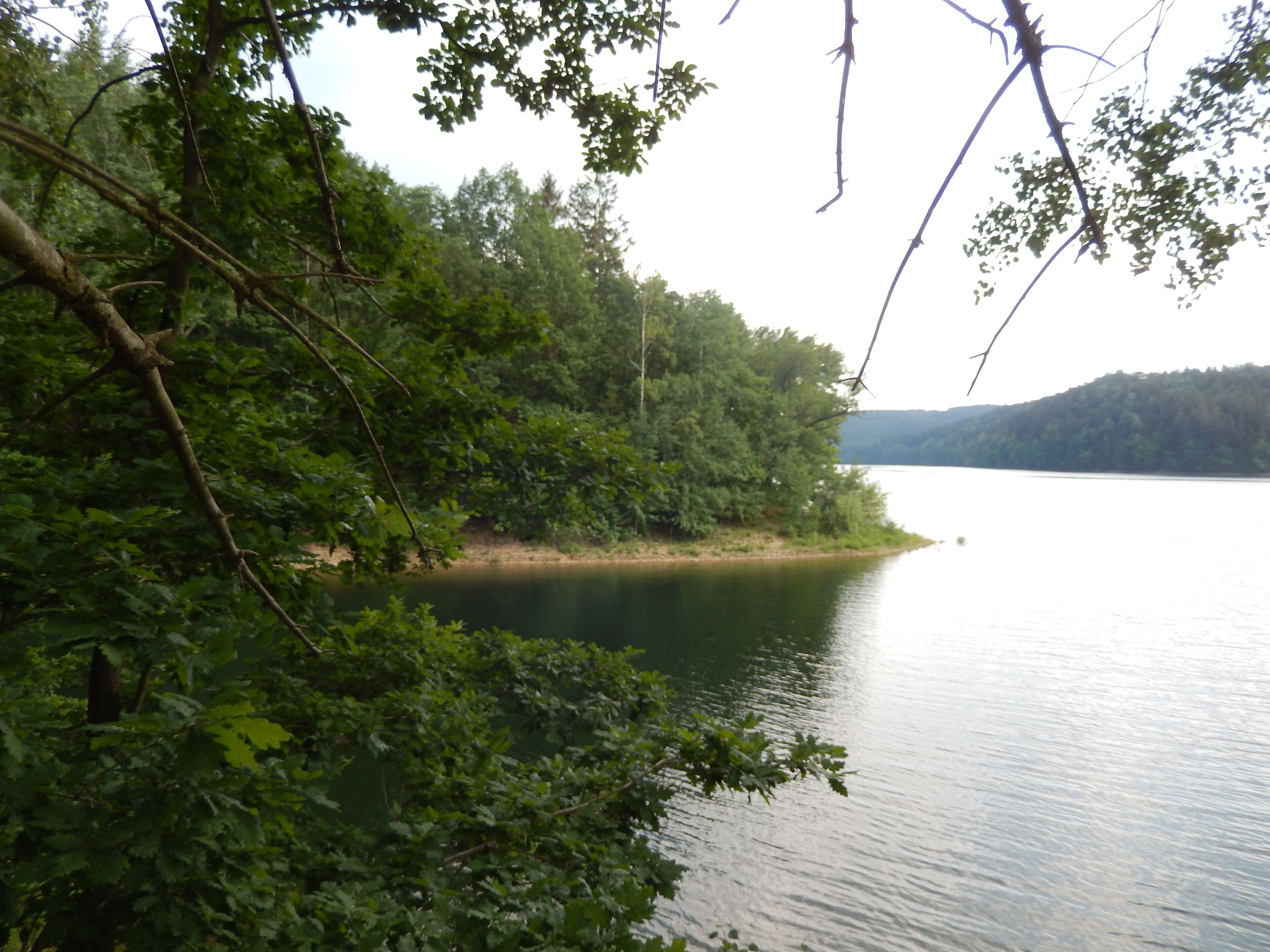 Klingenberg: Talsperren-Rundweg, LSG Tal der Wilden Weißeritz, CDDA-Code 324988