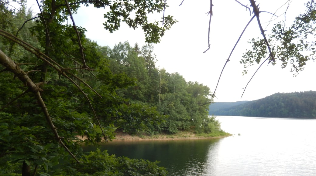 Klingenberg: Talsperren-Rundweg, LSG Tal der Wilden Weißeritz, CDDA-Code 324988