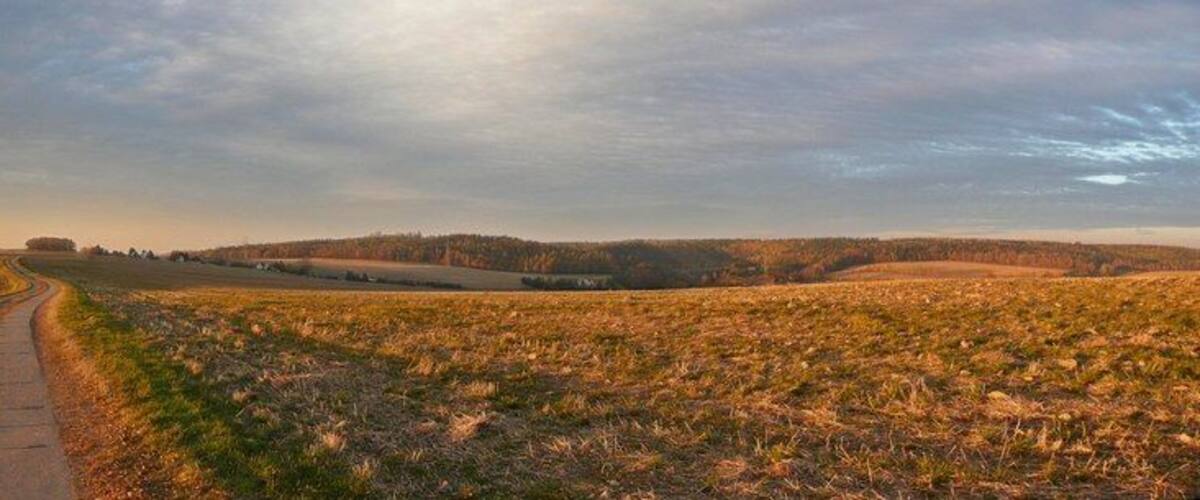 Feldweg nahe Colmnitz (Freiberger Land)