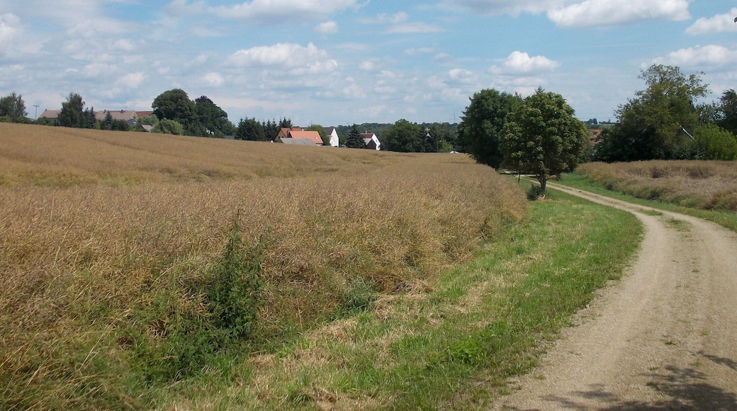 Mischütz (Zschaitz-Ottewig, Mittelsachsen district, Saxony) from the south-west