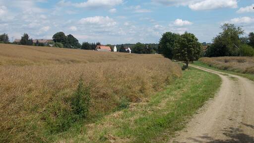 تشايتس أوتافيش