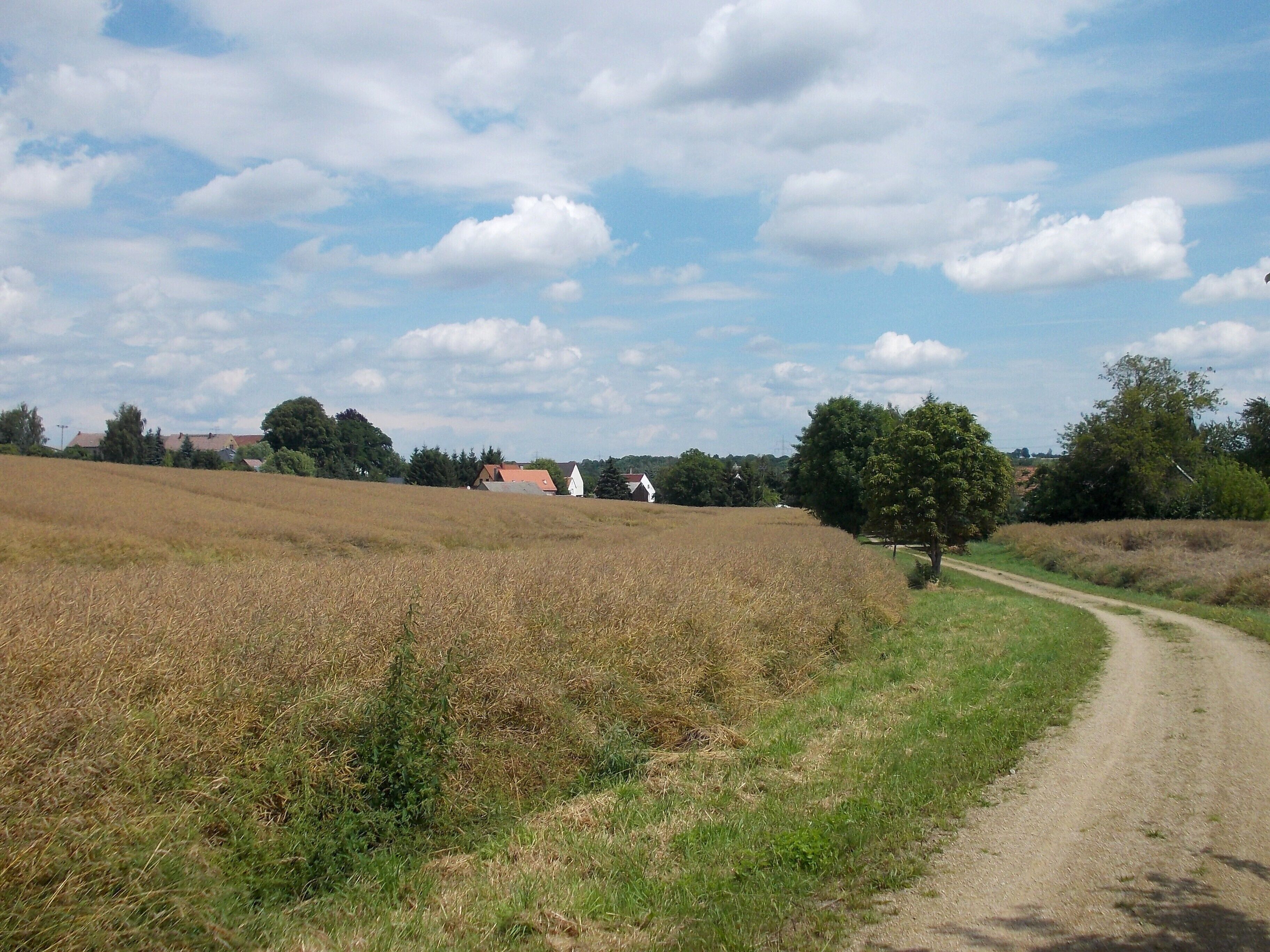 A rural landscape with a dirt road curving through fields, houses in the background, and a clear sky with clouds.