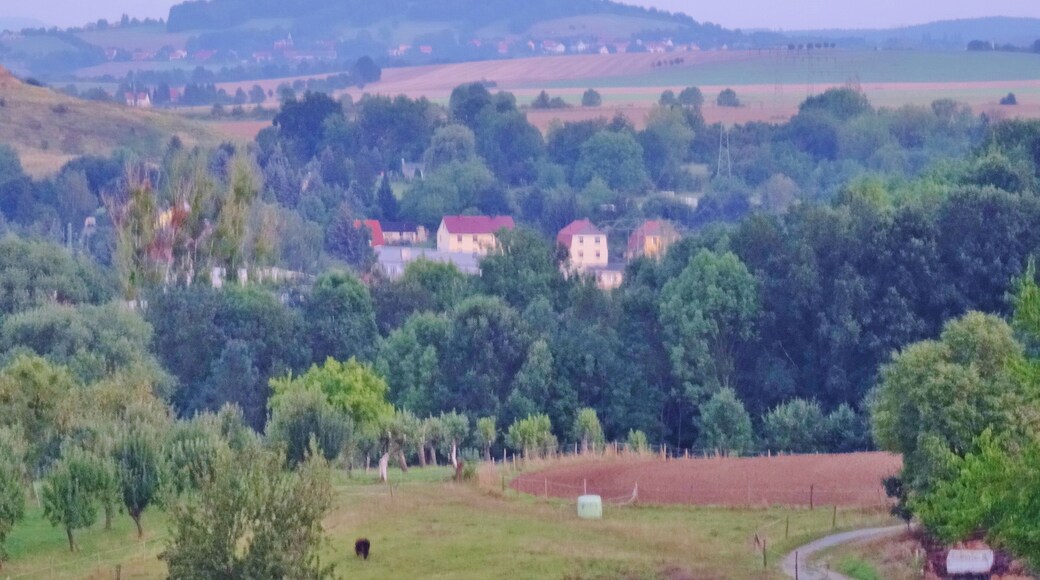 Feistenberg (Hill), Pirna