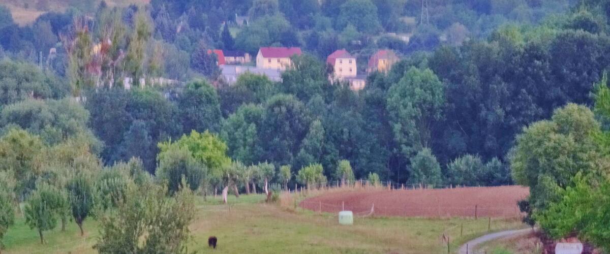A rural landscape with rolling hills, scattered houses, and dense tree coverage.