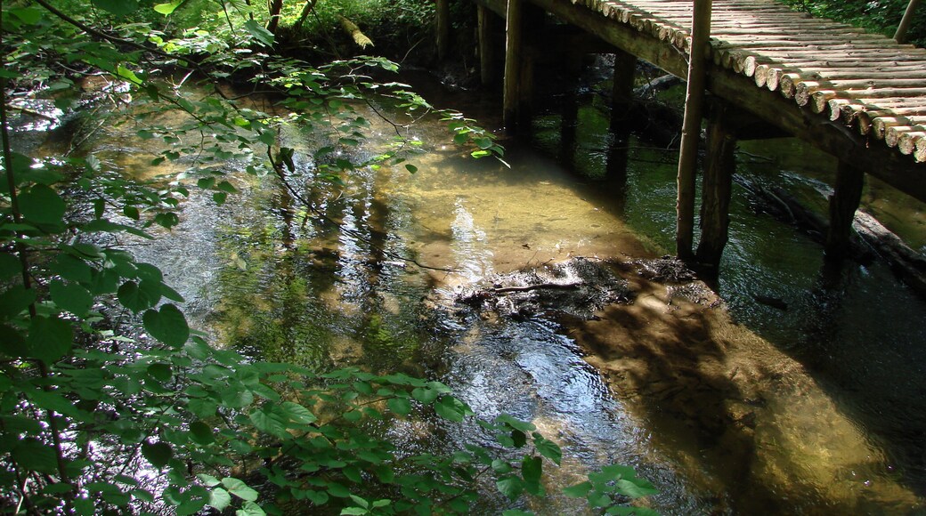 Wanderung MÀrkische Schweiz Entlang der Stöbber