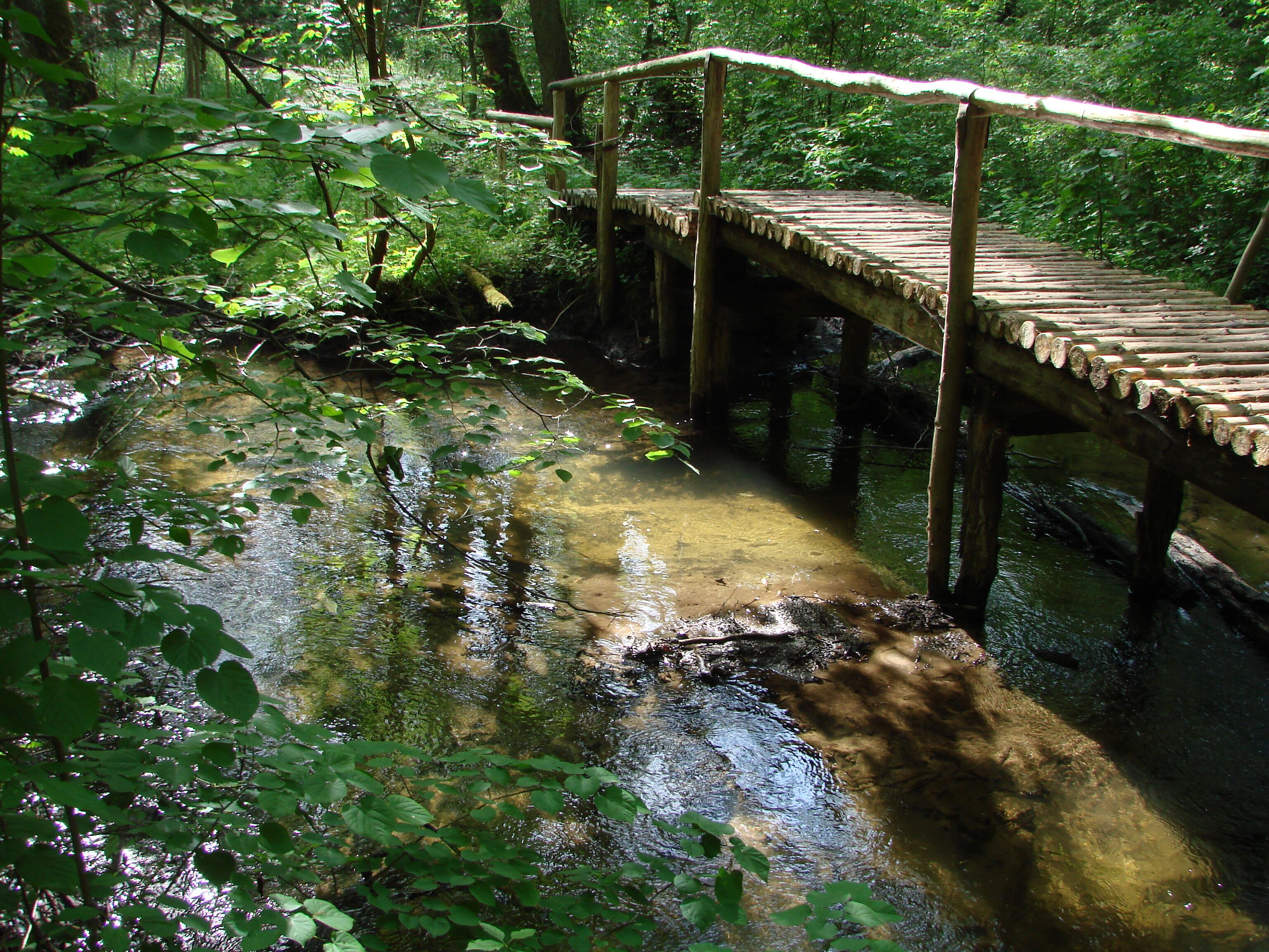 A wooden bridge over a clear stream surrounded by dense green foliage.