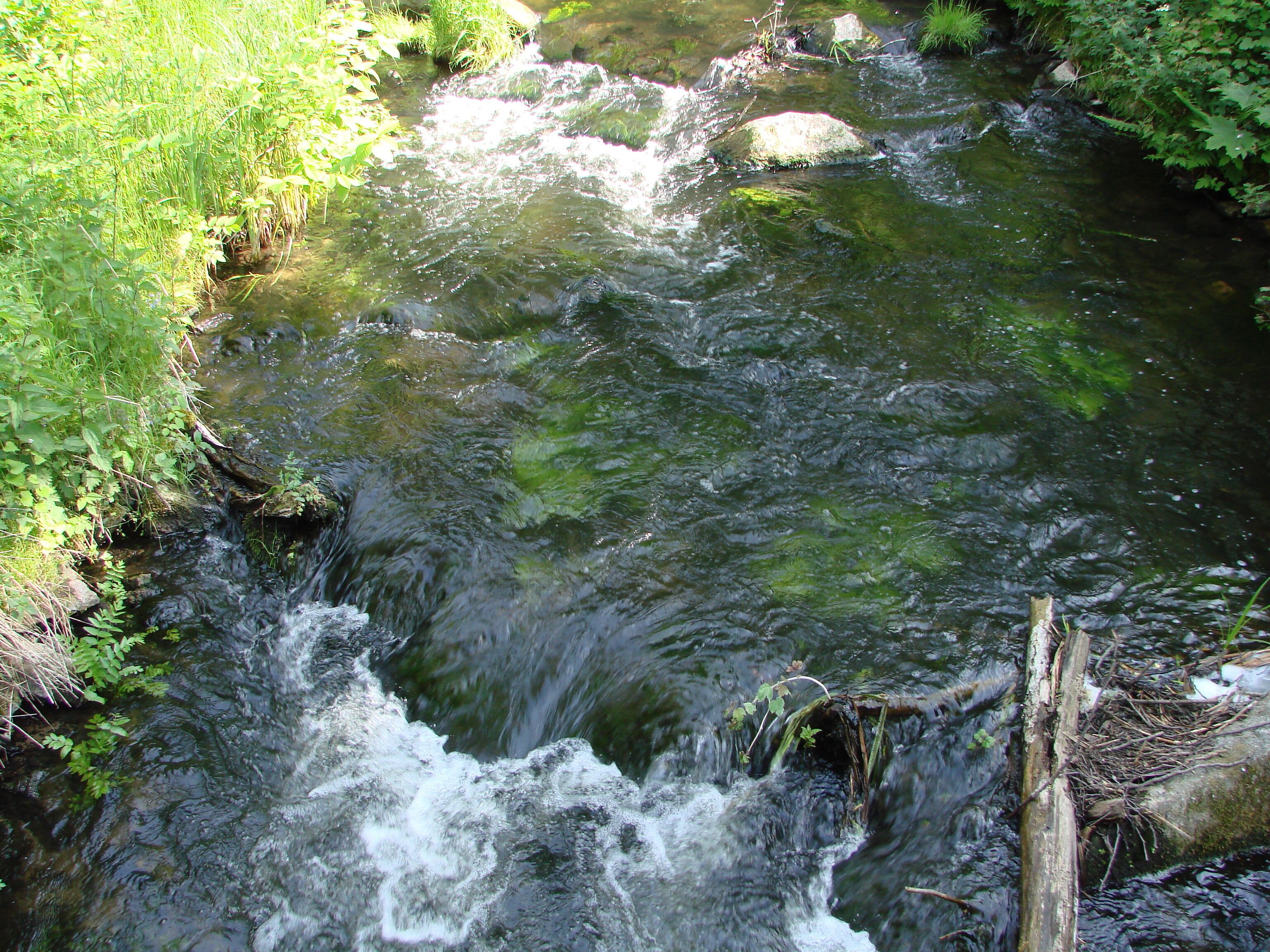 Wanderung Märkische Schweiz Stöbber