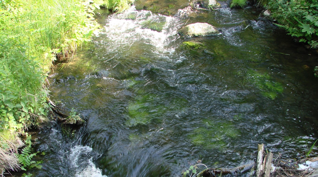 Wanderung Märkische Schweiz Stöbber