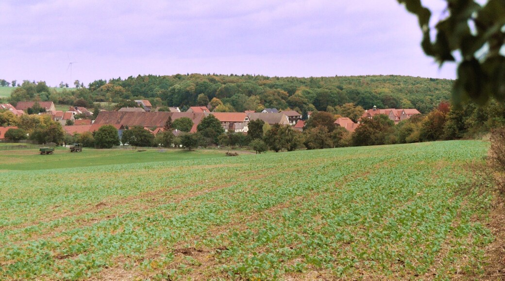 Klosterrode (Blankenheim), view to the village