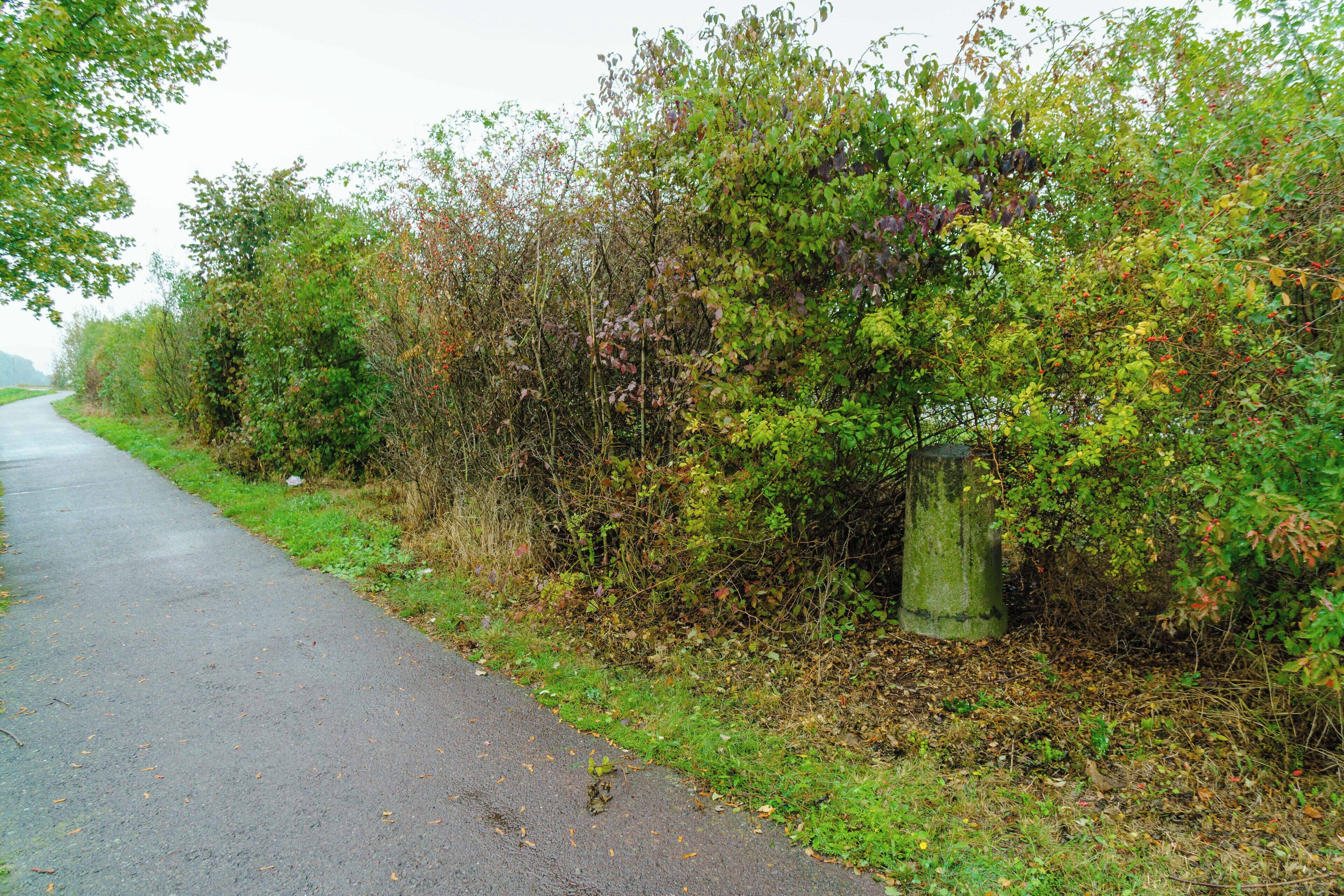 Preußischer Rundsockelstein (0608) an der B 1 bei Irxleben. Blick zum Standort.