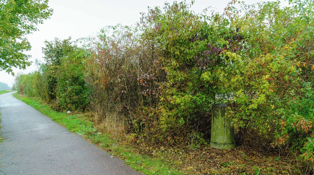 Preußischer Rundsockelstein (0608) an der B 1 bei Irxleben. Blick zum Standort.