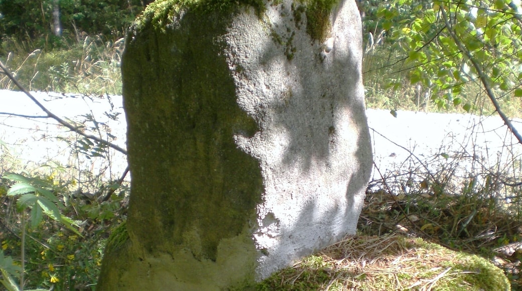 Steinkreuz zwischen Schwarzenbruck und Feucht